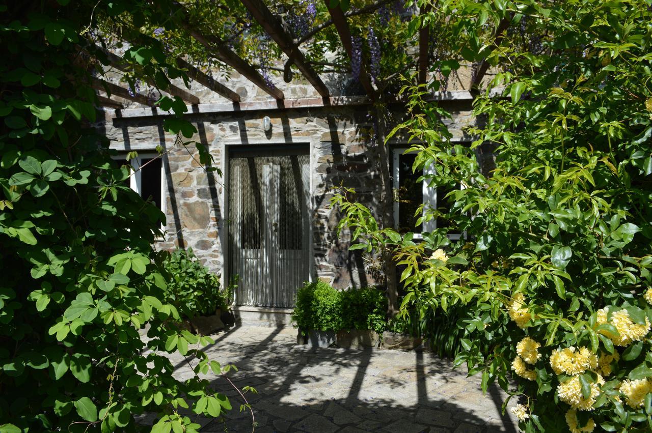 Mesao Provesende Exterior foto